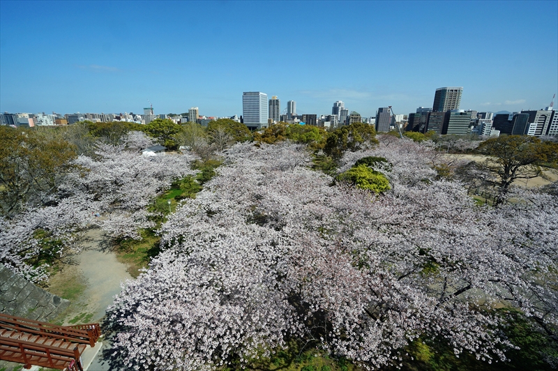 1060_福岡城跡_福岡