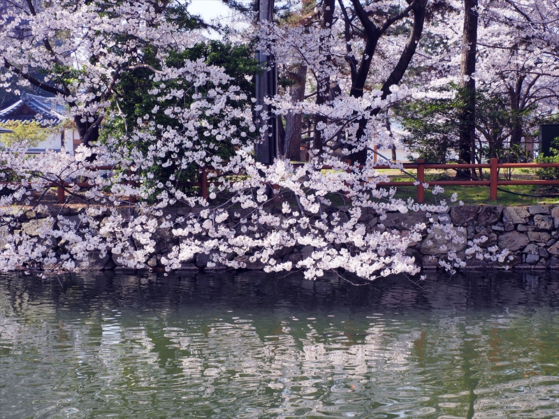 1016_小倉城_福岡