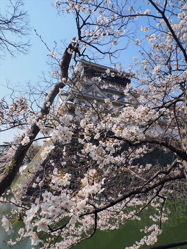 1021_小倉城_福岡