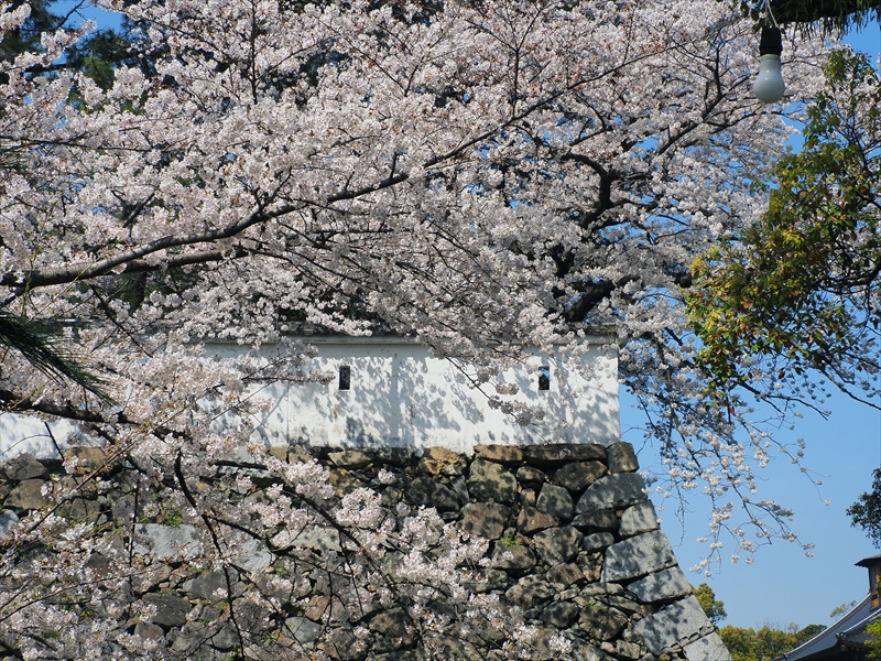 1024_小倉城_福岡