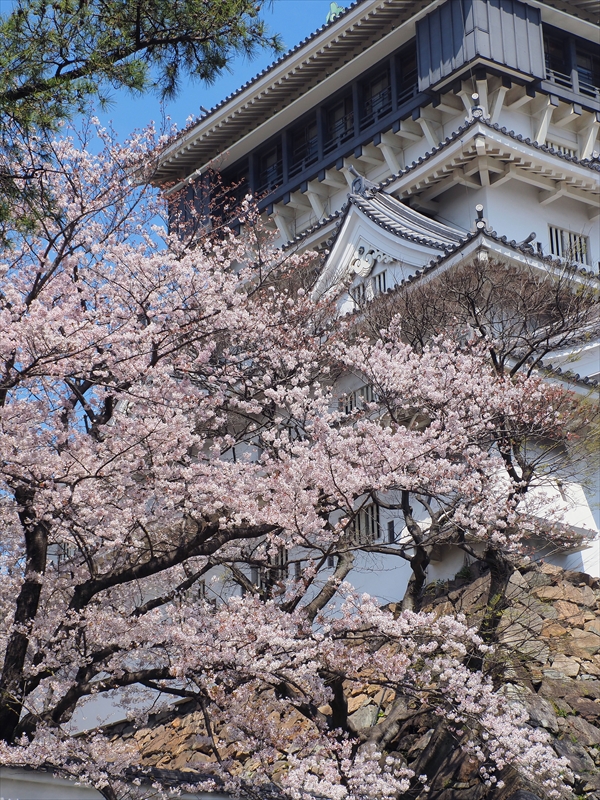 1029_小倉城_福岡