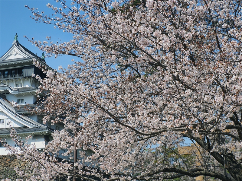 1032_小倉城_福岡