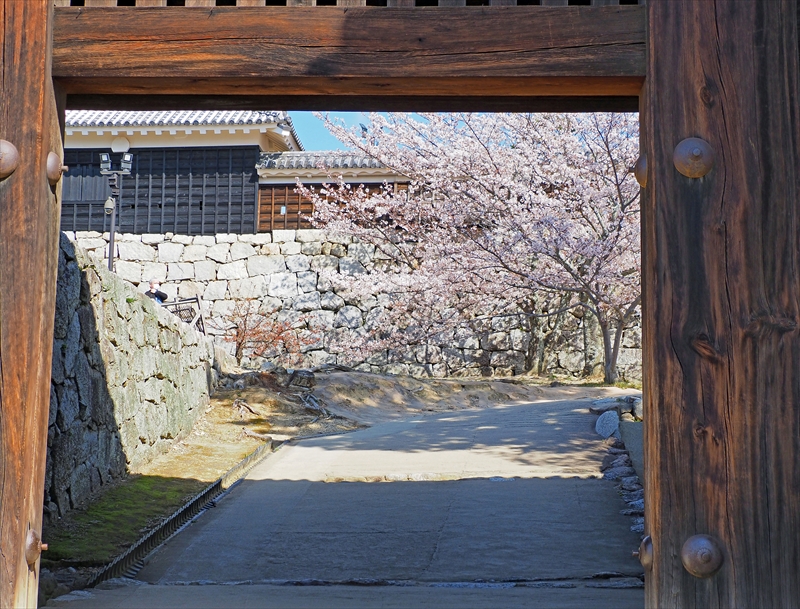 1069_松山城_愛媛