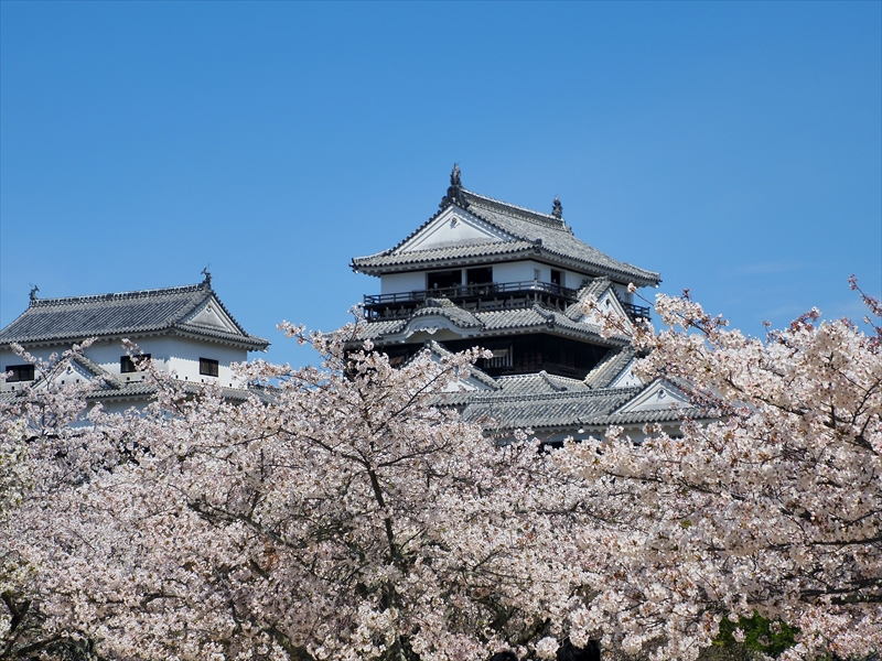 1077_松山城_愛媛