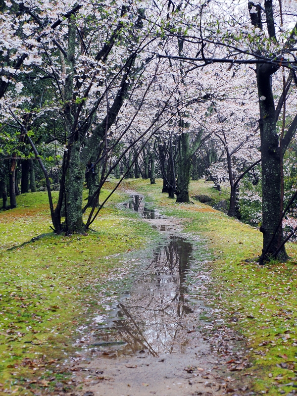 1003_広島城_広島