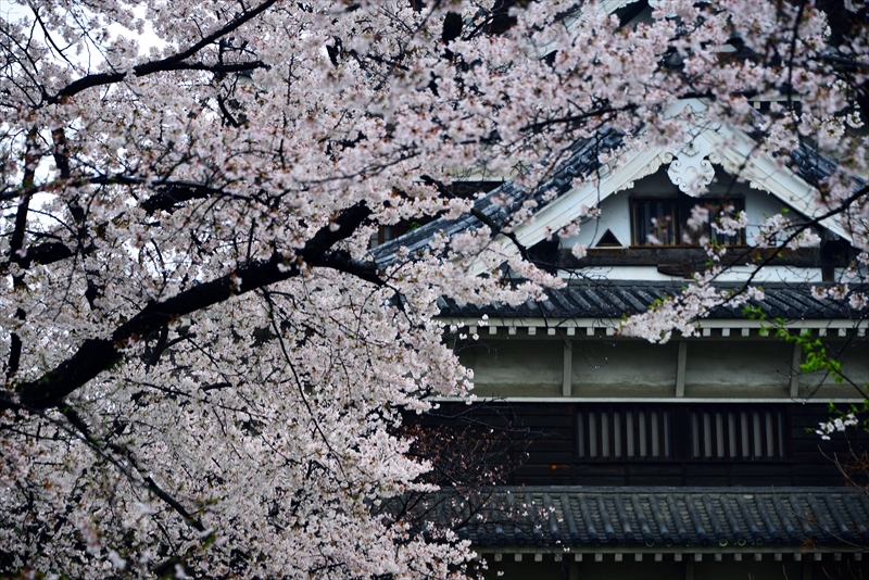 1011_広島城_広島