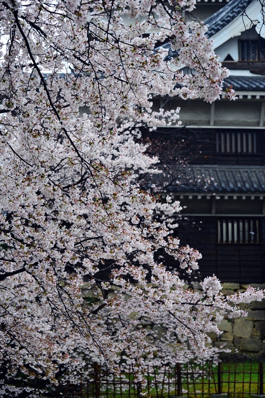 1018_広島城_広島