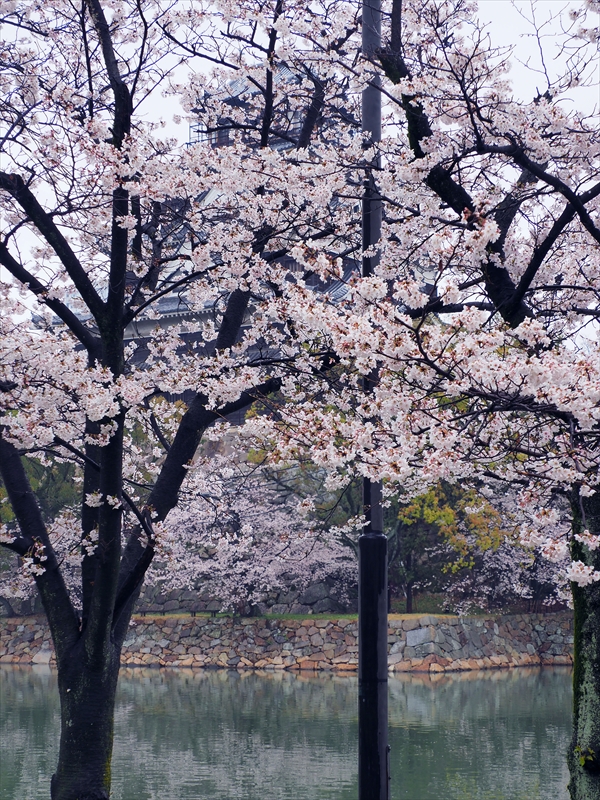 1027_広島城_広島