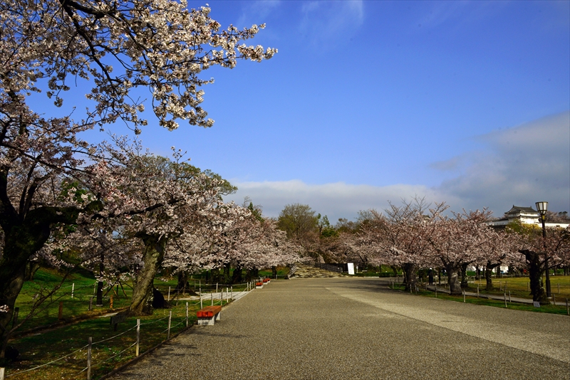 1005_姫路城_兵庫