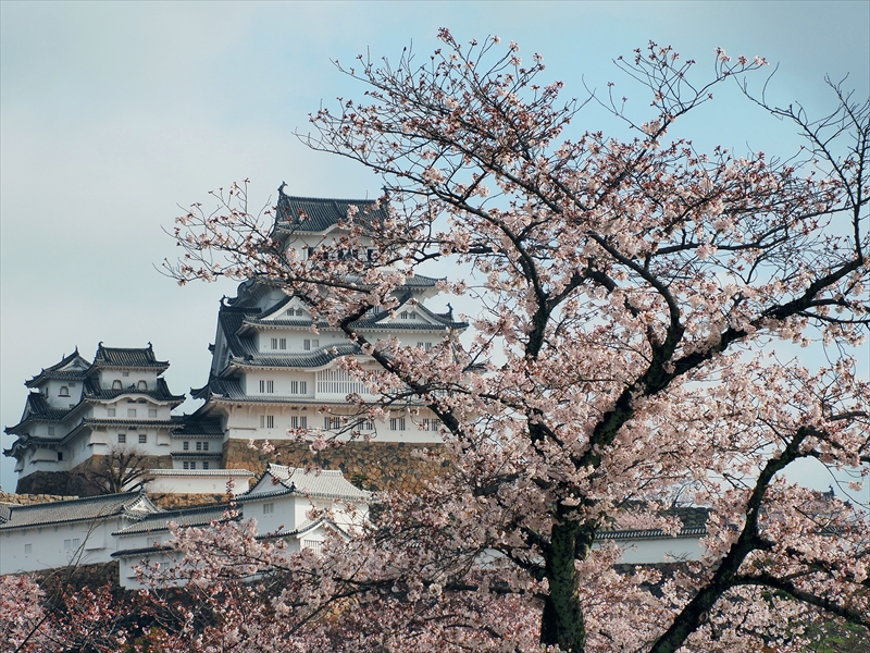 1012_姫路城_兵庫