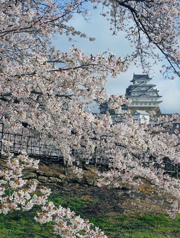 1014_姫路城_兵庫
