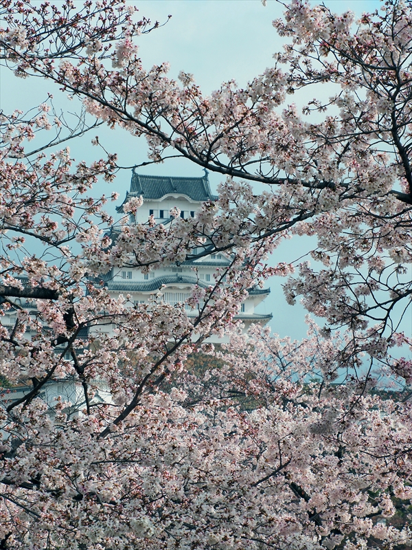 1017_姫路城_兵庫