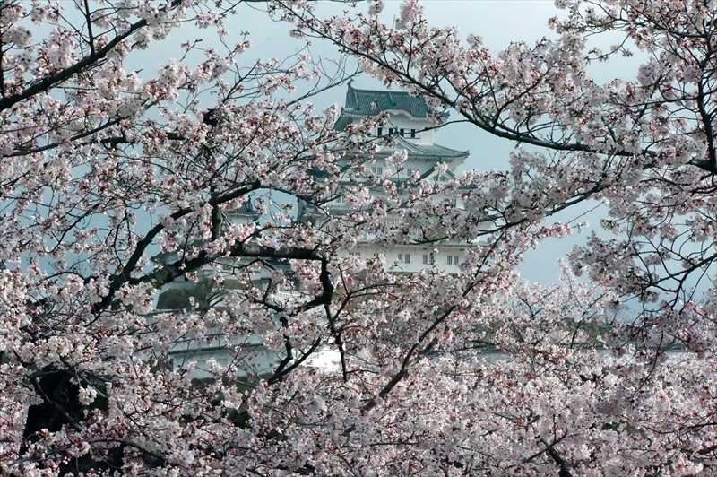 1018_姫路城_兵庫