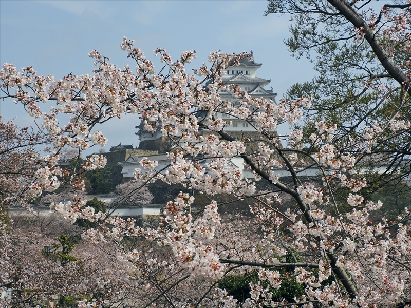 1033_姫路城_兵庫