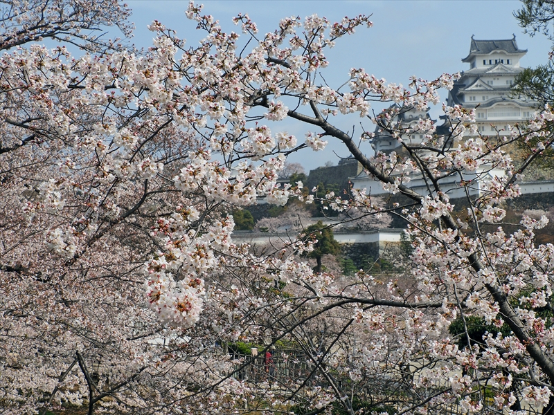 1034_姫路城_兵庫