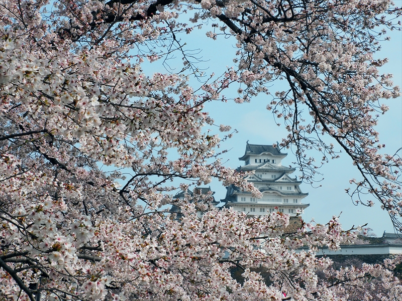 1035_姫路城_兵庫