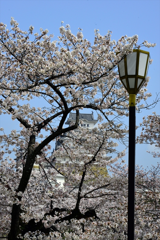 1052_姫路城_兵庫