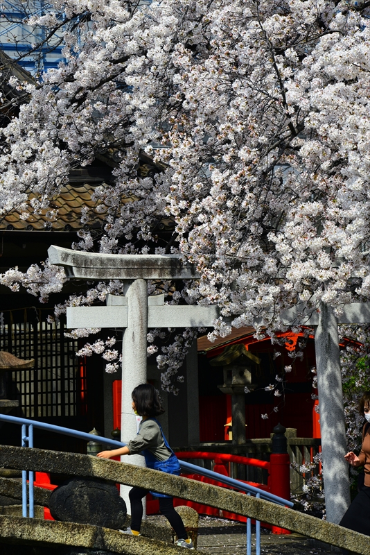 1142_洛中 六孫王神社_京都