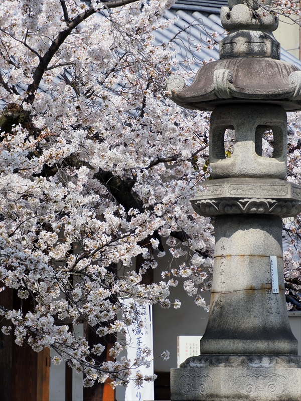 1144_洛中 六孫王神社_京都