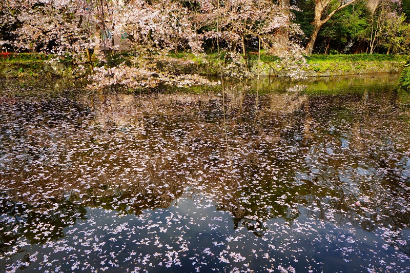 1086_三嶋大社_静岡