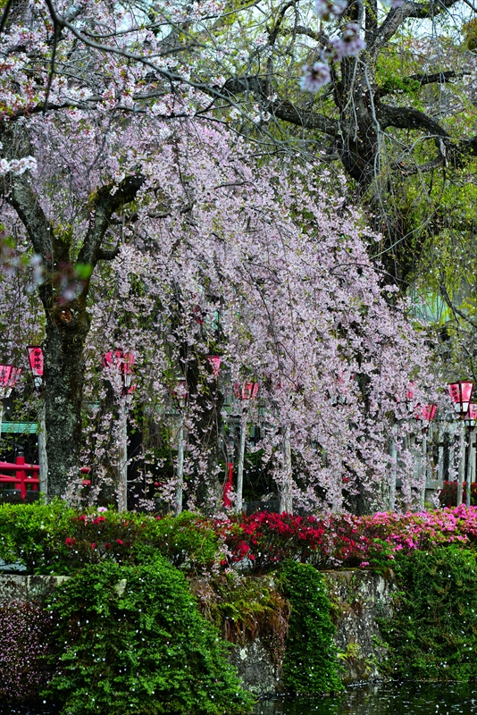 1091_三嶋大社_静岡