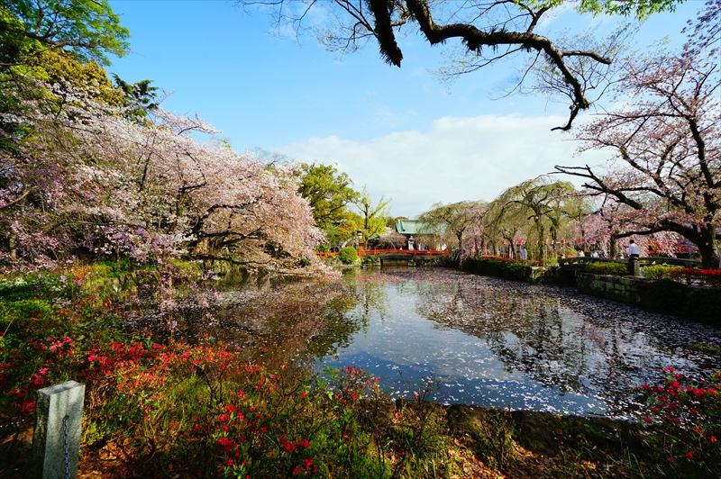 1096_三嶋大社_静岡
