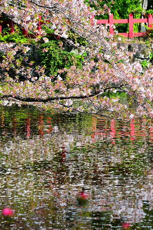 1099_三嶋大社_静岡