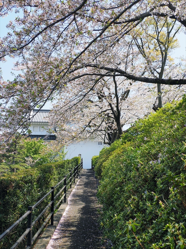 1113_駿府城_静岡