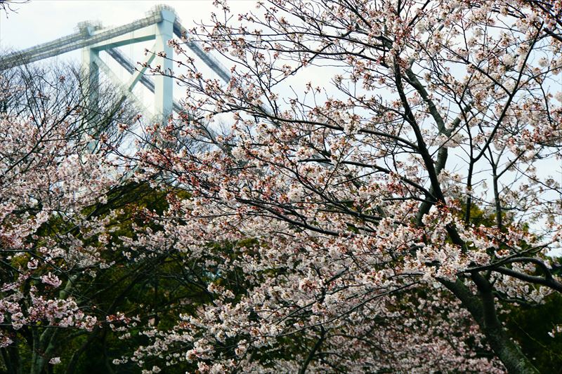 1001_和布刈公園_福岡