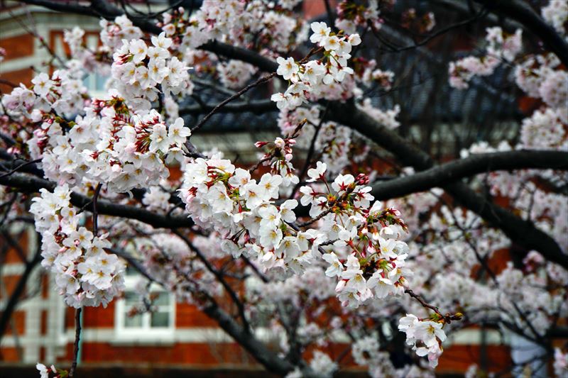 1067_門司港_福岡