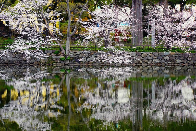 1040_小倉城_福岡