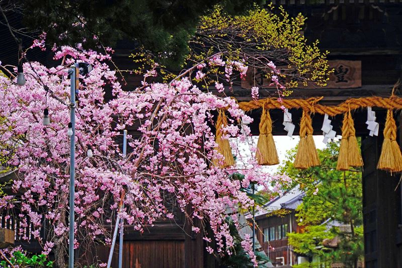 1041_小倉城_福岡