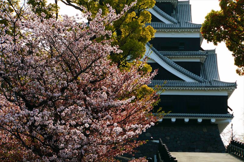 1002_熊本城_熊本