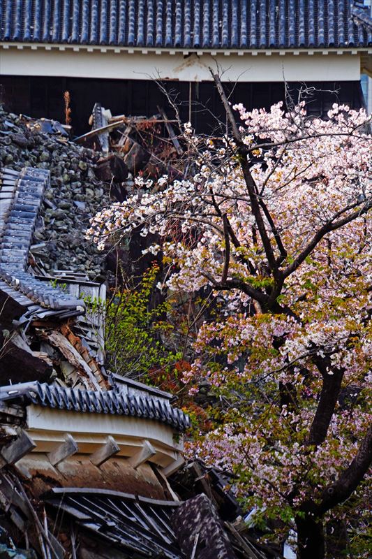 1003_熊本城_熊本