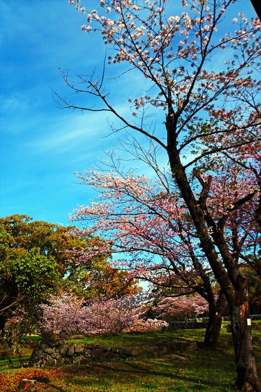 1006_熊本城_熊本