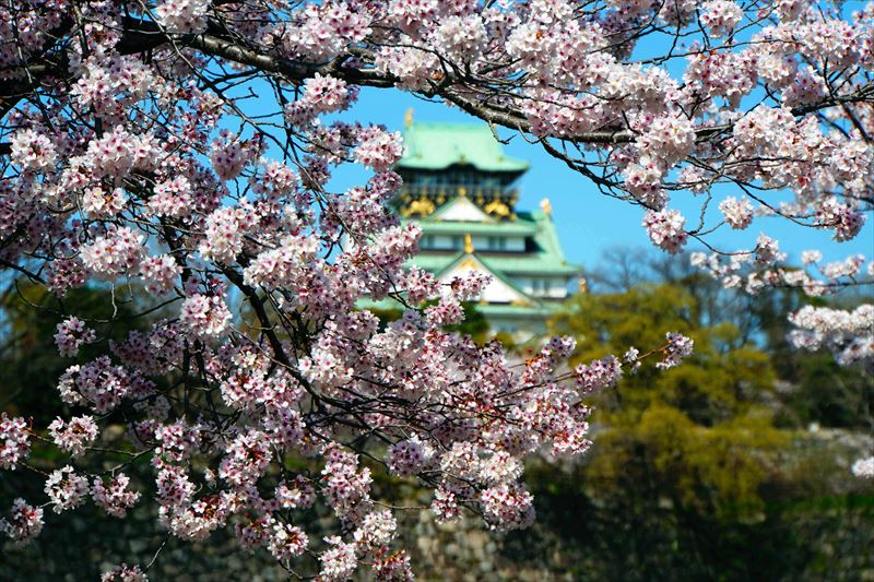 1034_大阪城_大阪