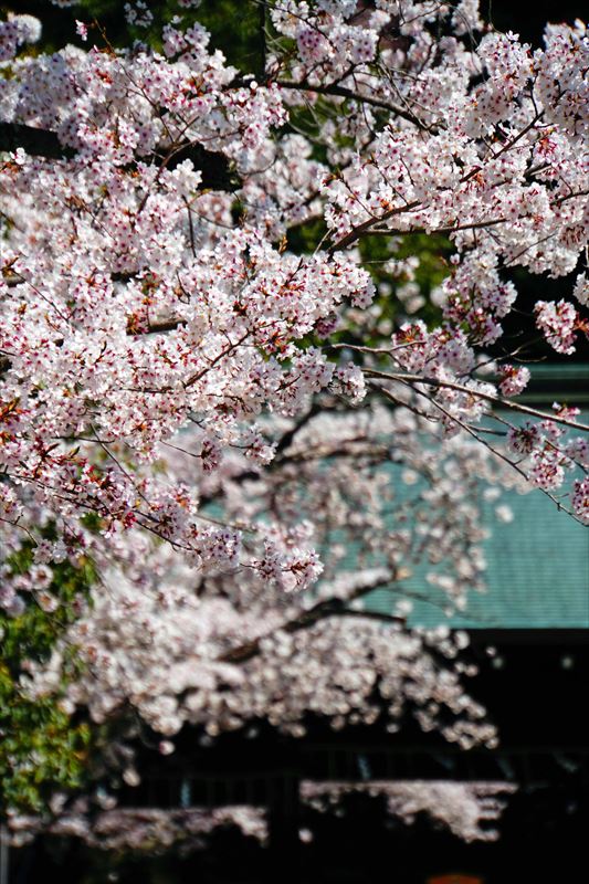 1003_洛東 豊国神社豊国廟_京都