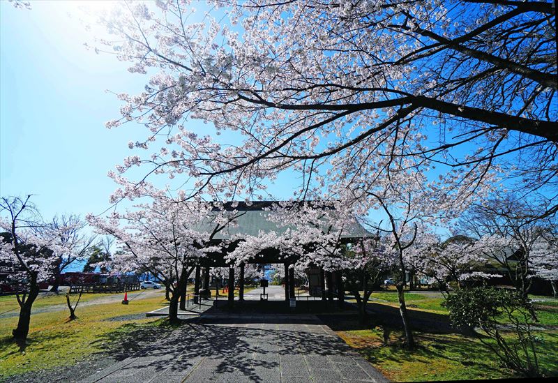 1004_洛東 豊国神社豊国廟_京都