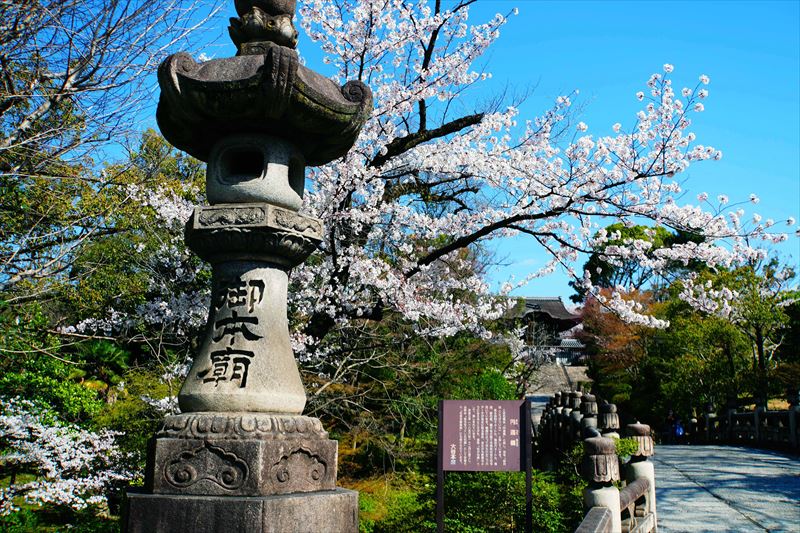 1019_洛東 大谷本廟_京都