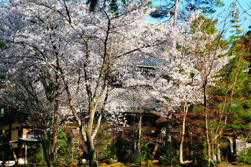 1048_洛東 南禅寺_京都
