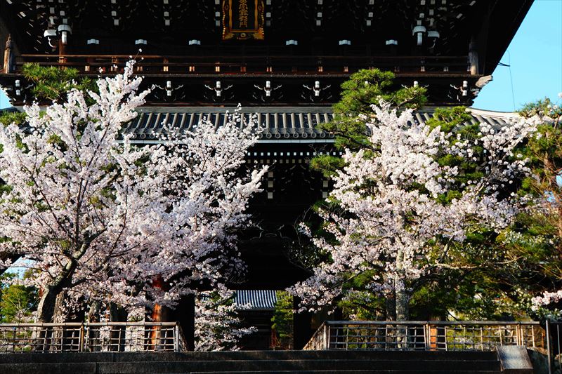 1001_洛中 金戒光明寺_京都