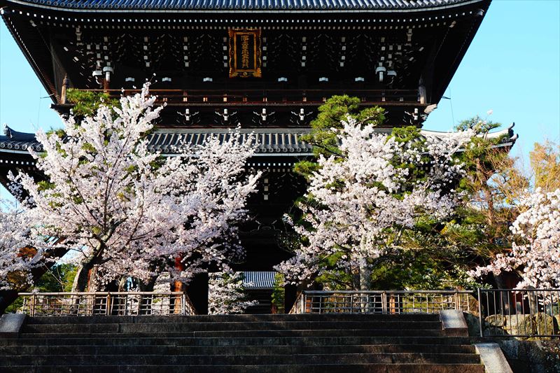 1002_洛中 金戒光明寺_京都