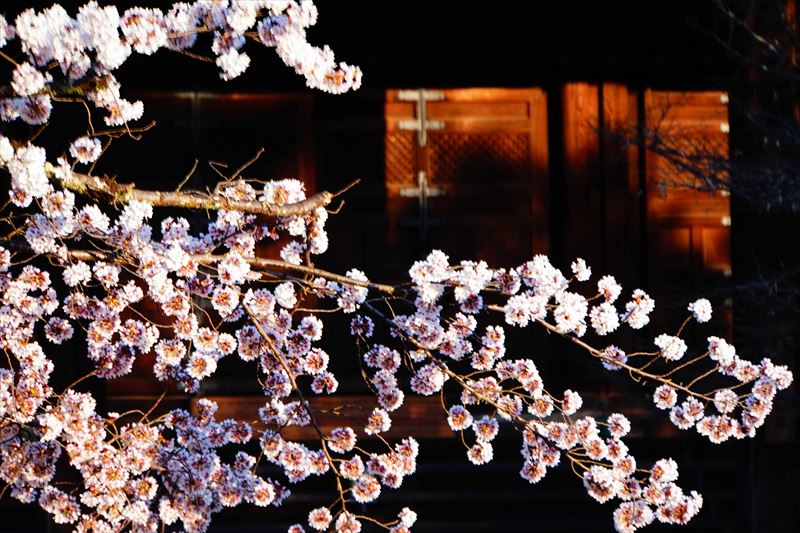 1009_洛東 真正極楽寺（真如堂）_京都