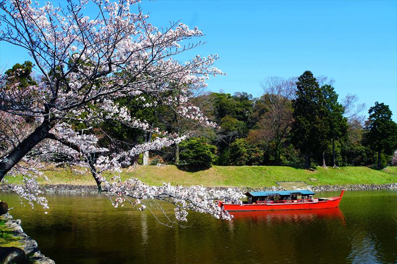 1042_8_彦根城_滋賀