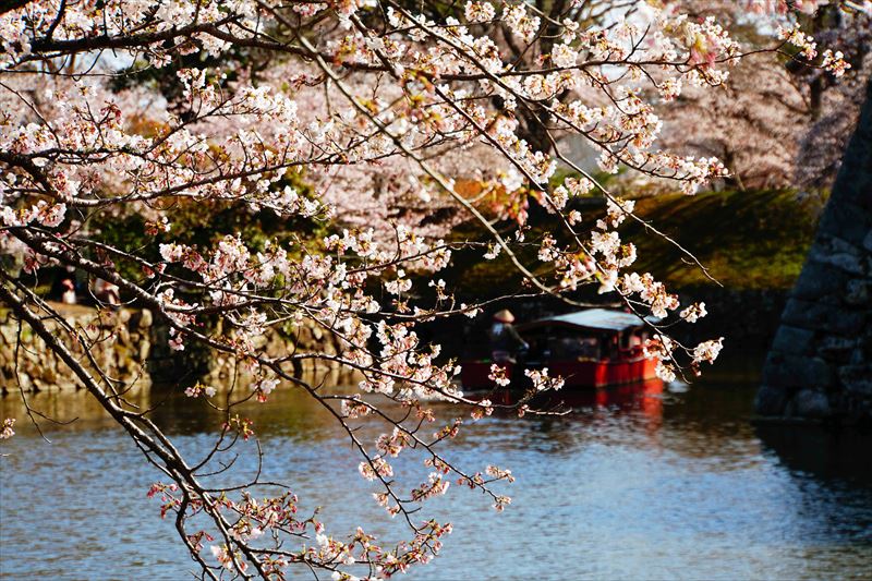 1050_8_彦根城_滋賀