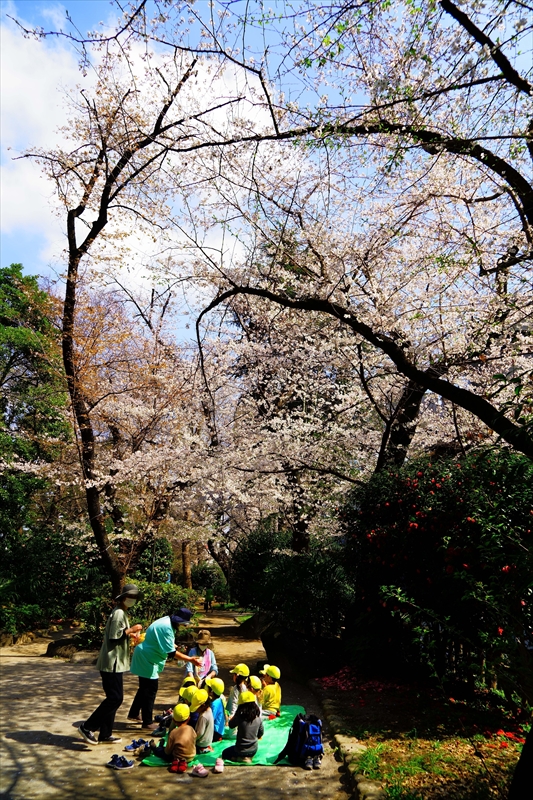 1071_外堀公園_東京