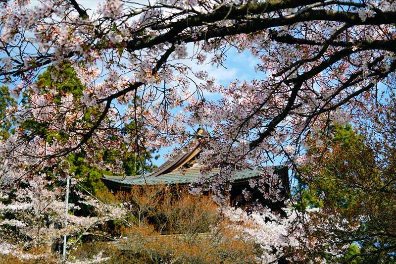 1022_大善寺_山梨