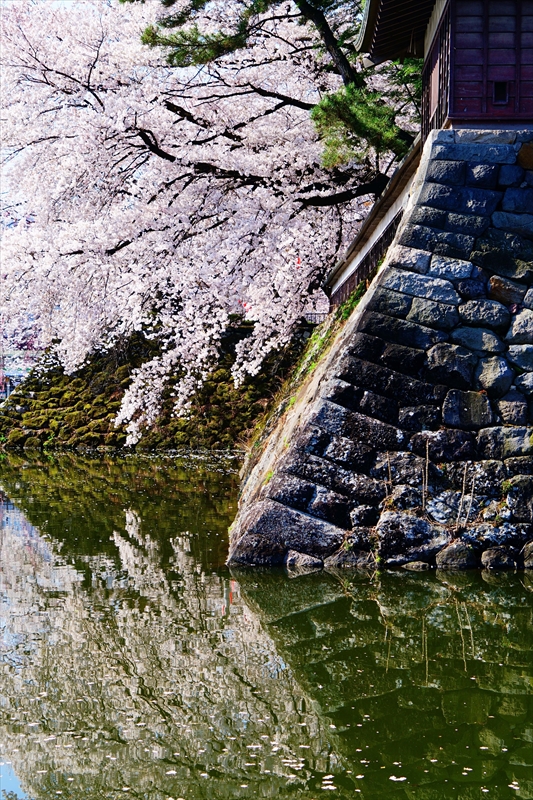 1117_高島城_長野