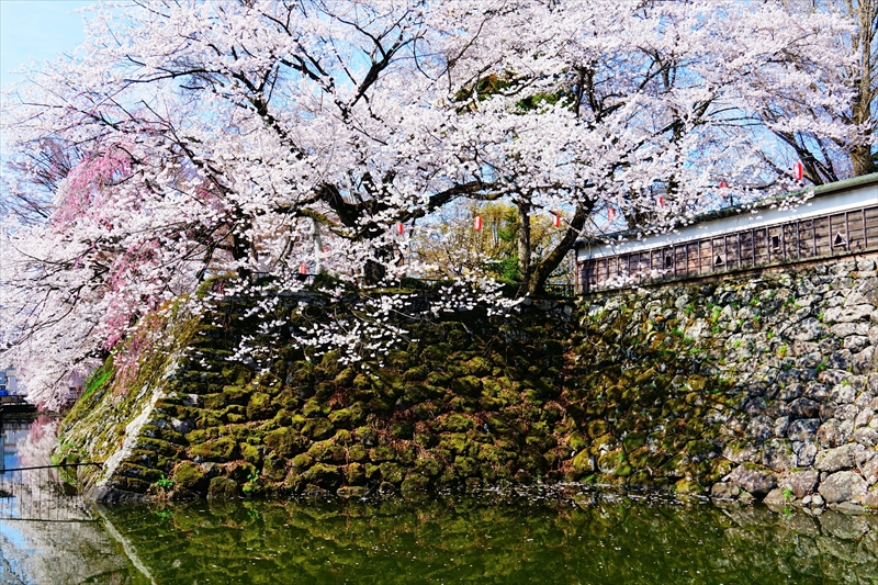 1119_高島城_長野