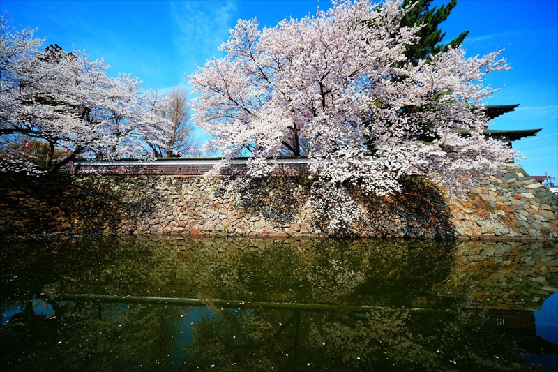 1127_高島城_長野